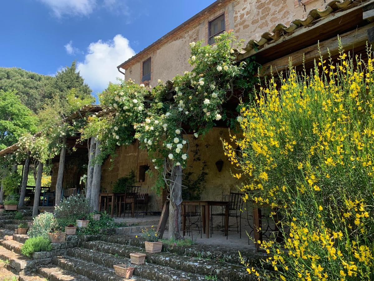 Agriturismo Locanda Settimo Cielo Villa Lubriano ภายนอก รูปภาพ