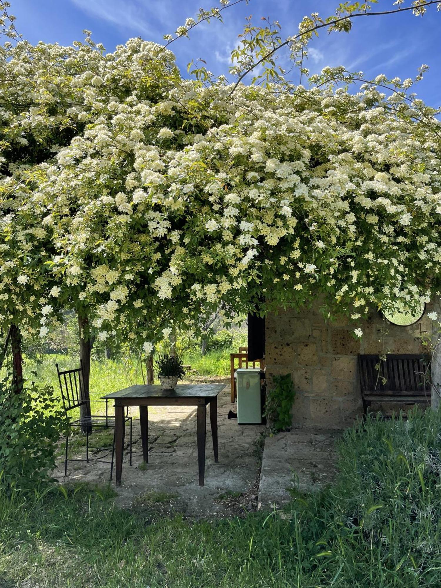 Agriturismo Locanda Settimo Cielo Lubriano ภายนอก รูปภาพ