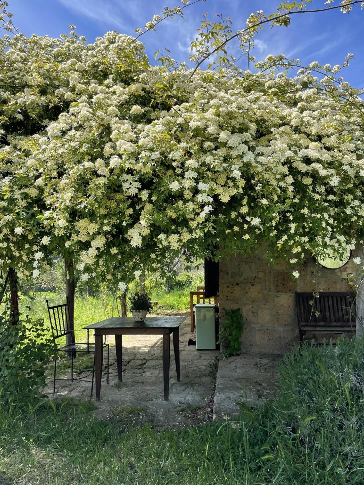 Agriturismo Locanda Settimo Cielo Villa Lubriano ภายนอก รูปภาพ