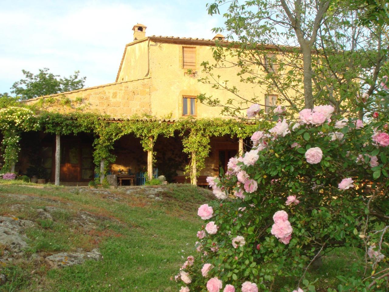 Agriturismo Locanda Settimo Cielo Villa Lubriano ภายนอก รูปภาพ